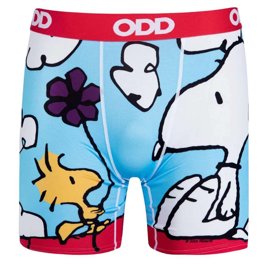 On The Dog House - Mens Boxer Briefs-Small