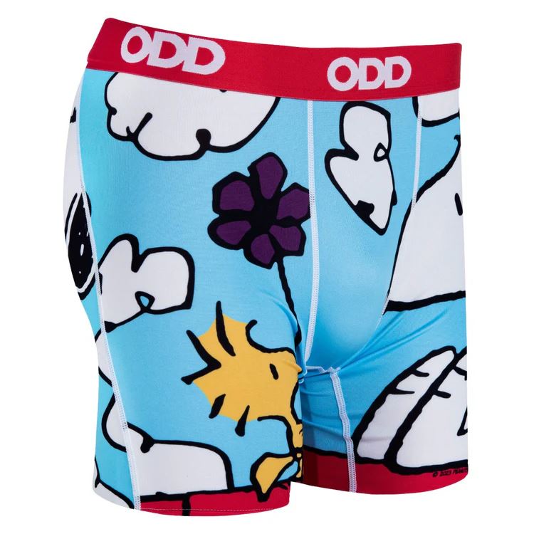 On The Dog House - Mens Boxer Briefs- X Large