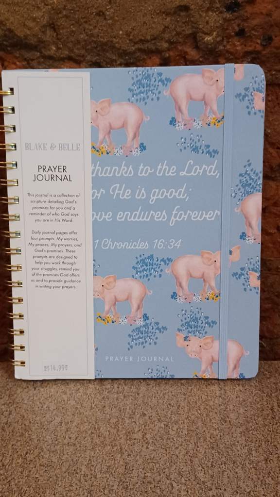 Mary Square - Prayer Journal - Petunia