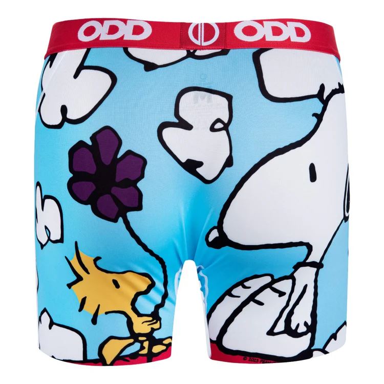 On The Dog House - Mens Boxer Briefs-Small