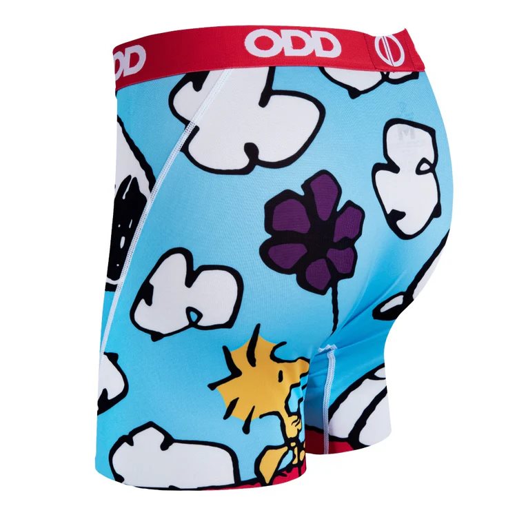 On The Dog House - Mens Boxer Briefs-Small