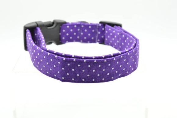 Dog Collar World - Small Collar - Purple Pin Dot