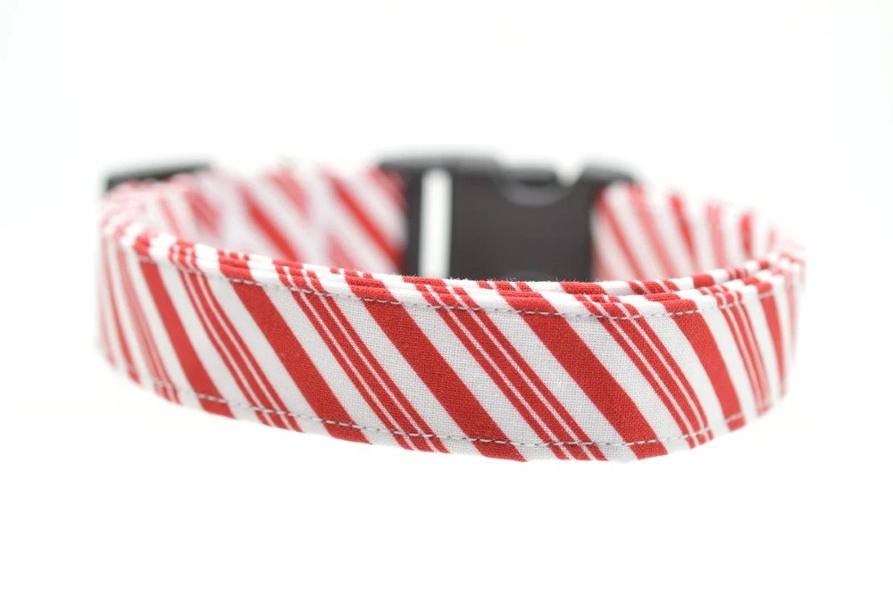 Dog Collar World - X-Small Collar - Candy Cane Stripe