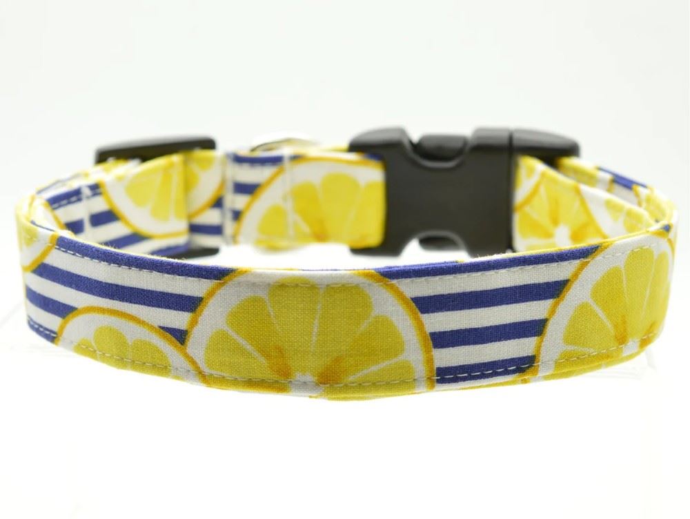 Dog Collar World - Small Collar - Lemon Stripe